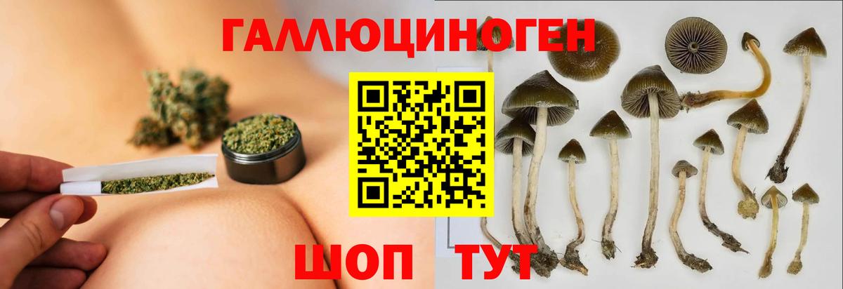 Псилоцибиновые грибы ЛСД Анжеро-Судженск